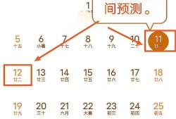 2020年的二建考試時間預計在幾月份？4月中旬學習來得及嗎？