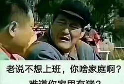 考過(guò)了一級(jí)建造師和一級(jí)造價(jià)師，應(yīng)該怎么選擇從業(yè)方向？
