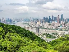 重慶注冊安全工程師準考證打印時間重慶2020注冊安全工程師考試證書領取時間