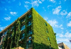 bim工程師證書有用嗎能掛號不,bim工程師證書有用嗎能掛號不去嗎