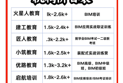 西藏工程項目西藏工程師認可的bim工程師