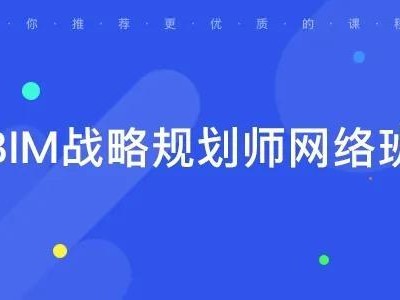 bim戰略工程師是干什么的,bim入庫騙局