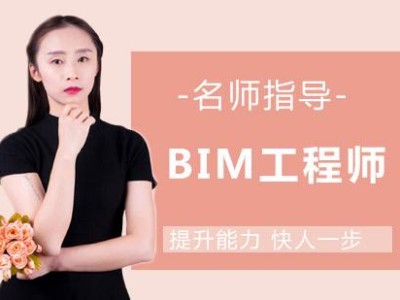 花錢買編制工作值得嗎,花錢買bim工程師