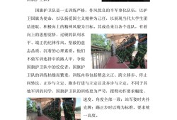 工程簡報(bào)模板工程簡報(bào)模板范文