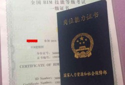 bim專業(yè)技能和職業(yè)技能證書(shū)區(qū)別,bim工程師屬于職業(yè)技能證書(shū)