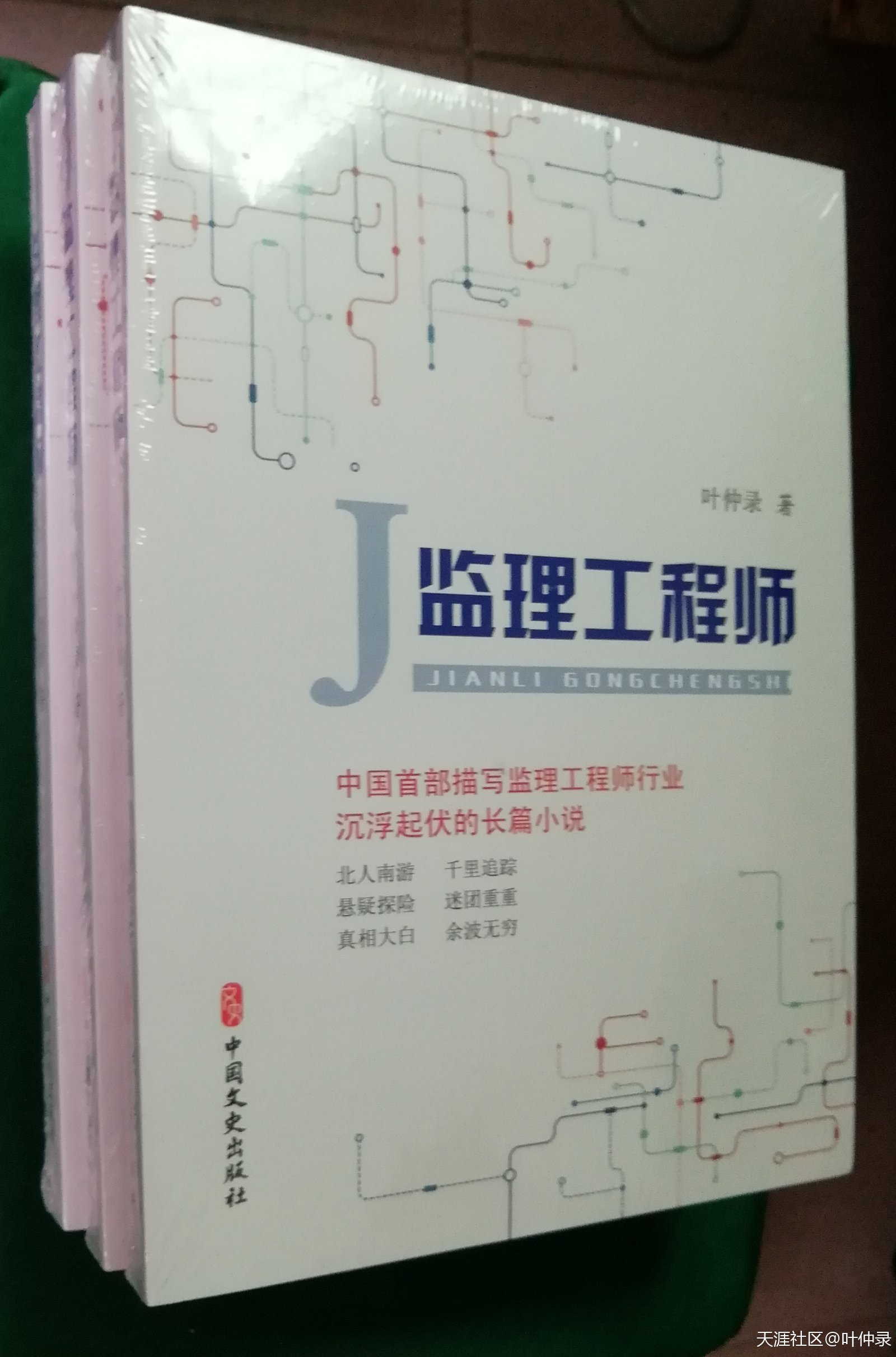 長篇紀實小說《監(jiān)理工程師》里的國企和民企里的職員收益差異  第2張