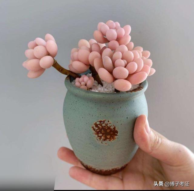 二建出考試時間了，大家開始學(xué)習(xí)了嗎？  第5張