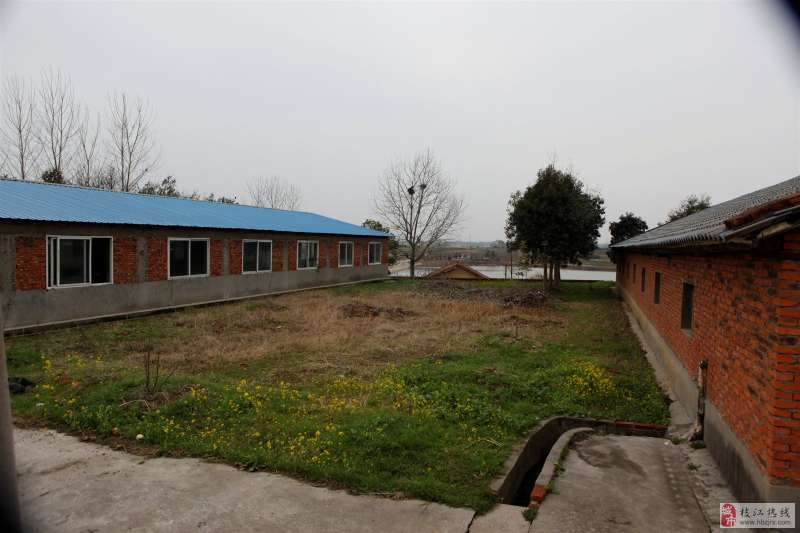 養豬場設計圖片大全養豬場設計圖  第1張