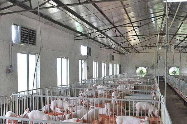 樓房養豬場設計,養豬場設計  第2張