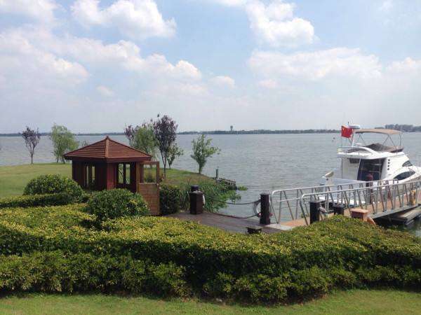 淀山湖一號(hào)淀山湖一號(hào)大蝦是什么蝦種  第1張