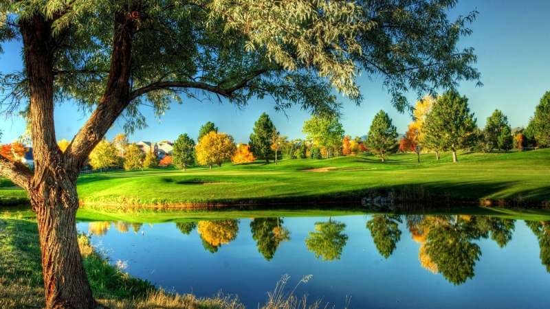 江蘇二級建造師證書查詢,江蘇棋院證書查詢 第2張 江蘇二級建造師證書查詢,江蘇棋院證書查詢 第2張