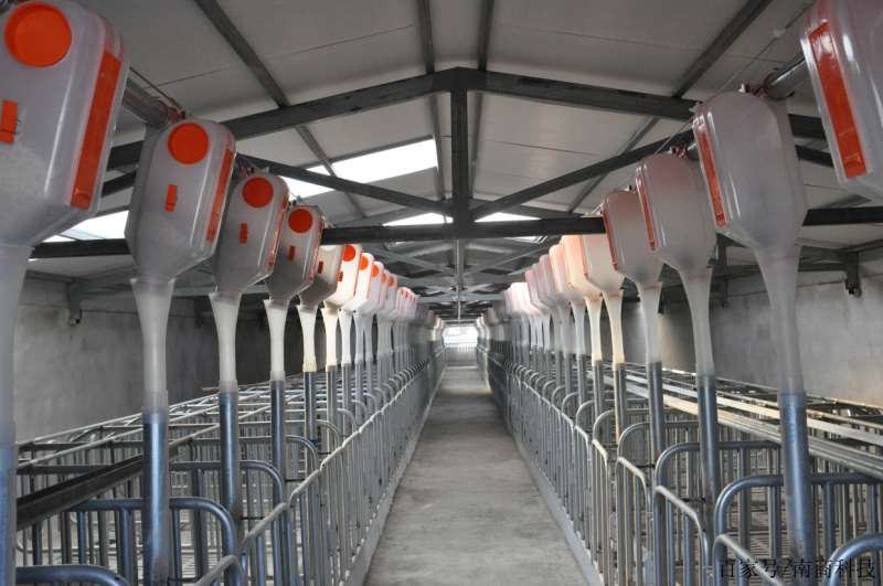 豬圈設計圖農村私人豬圈設計圖  第1張