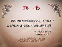 巖土工程師解聘證明樣本,巖土工程師解聘證明樣本圖片  第2張