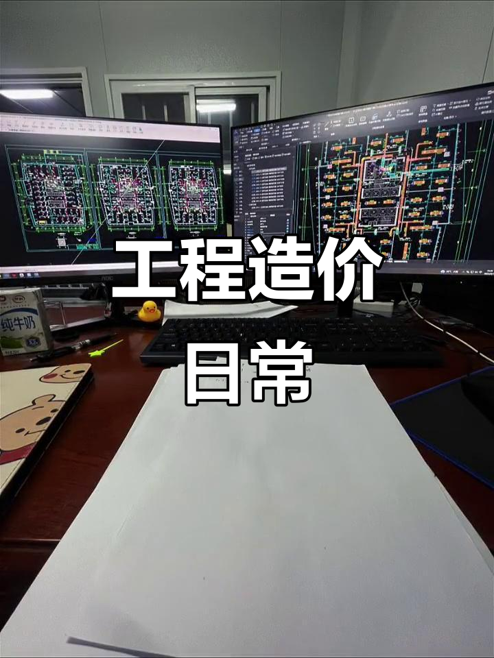 從大學(xué)生到工程造價(jià)師讀后感1000字,從大學(xué)生到造價(jià)工程師下載  第1張