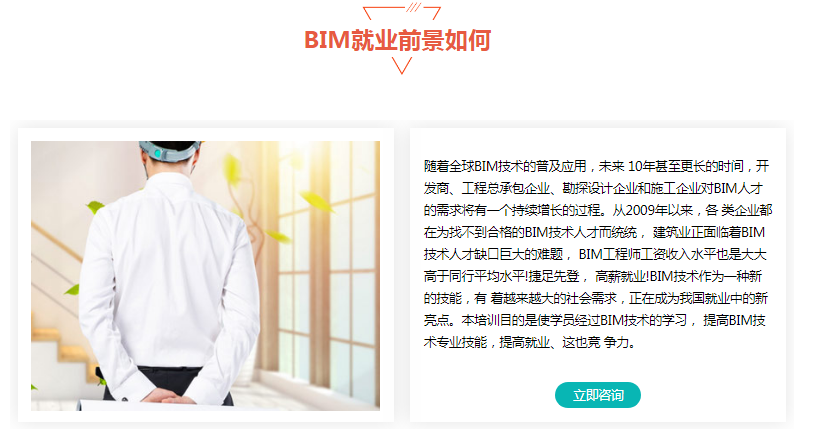 中級(jí)裝飾bim應(yīng)用工程師,bim應(yīng)用工程師和裝配工程師  第2張