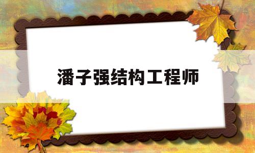 潘子強結構工程師結構工程師證書查詢  第1張